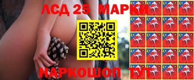стафф Партизанск