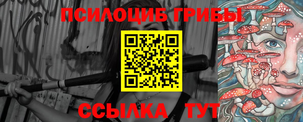 Псилоцибиновые грибы ЛСД Сердобск