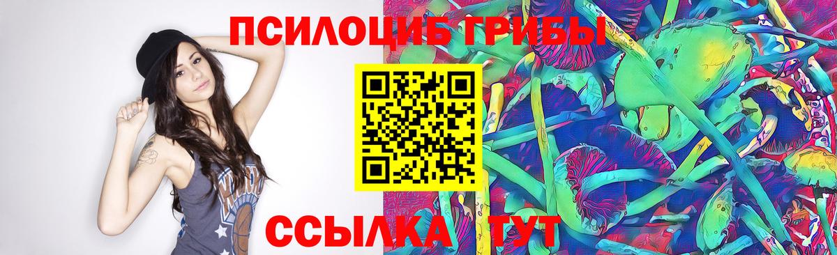 Псилоцибиновые грибы мухоморы  где продают   Галлюциногенные грибы мицелий  Сердобск  Вход с VPN 